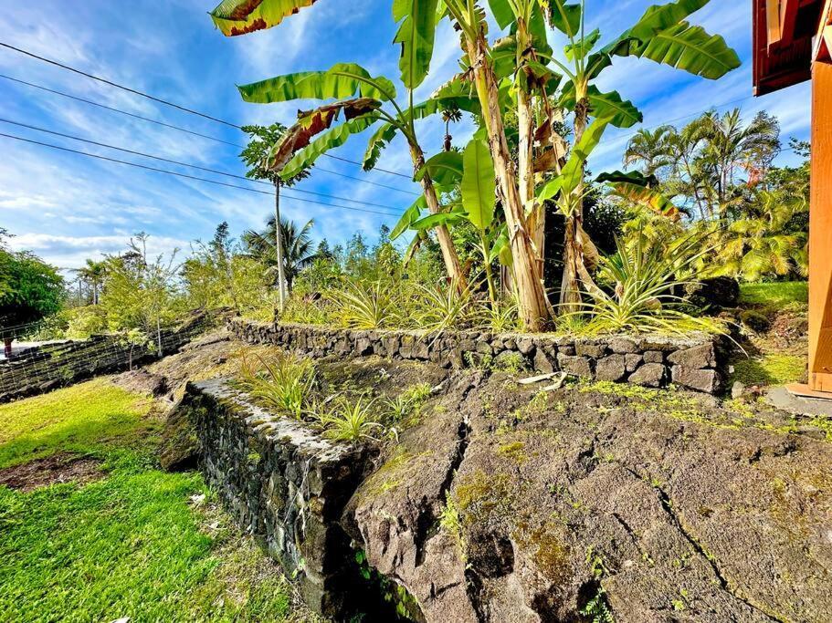 Puna Zen Botanical Garden Retreat Keaau المظهر الخارجي الصورة