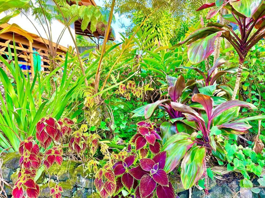 Puna Zen Botanical Garden Retreat Keaau المظهر الخارجي الصورة